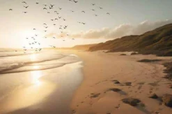 PRO ART Keilrahmenbild SEA MOOD XI