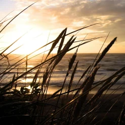 Best queence Keilrahmenbild Sylt