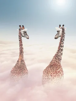 Hot PRO ART Keilrahmenbild WOLKENREISE