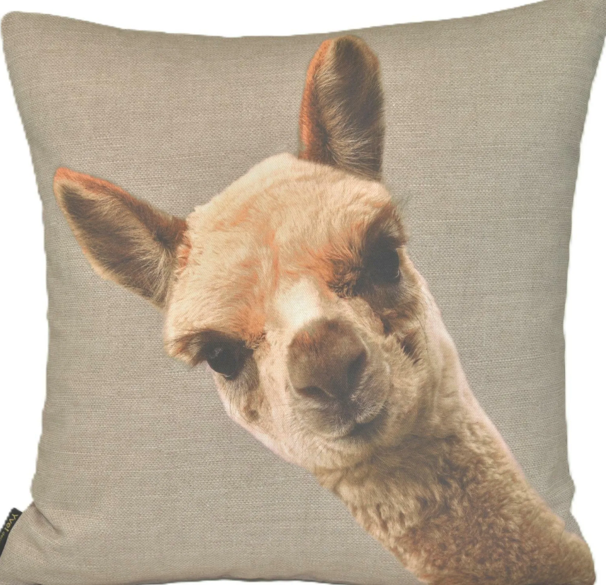 Sonstige Kissen ALPAKA EDITH