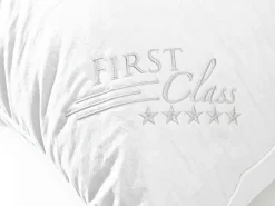 sanders Kopfkissen 1. CLASS