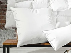 sanders Kopfkissen DREAMCATCHER