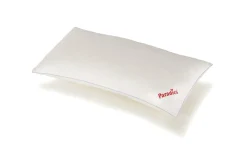 Best Paradies Kopfkissen SOFTY COOL BIO