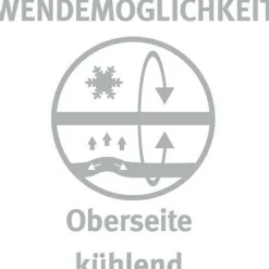 Paradies Kopfkissen SOFTY COOL BIO