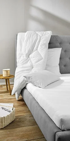 Online Paradies Kopfkissen SOFTY SINFONIE BIO