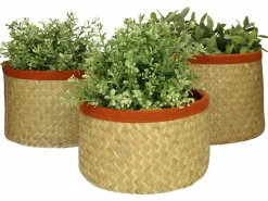 Sonstige Korb SEEGRAS