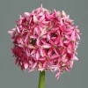 DPI Kunstblume Allium