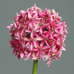 DPI Kunstblume Allium