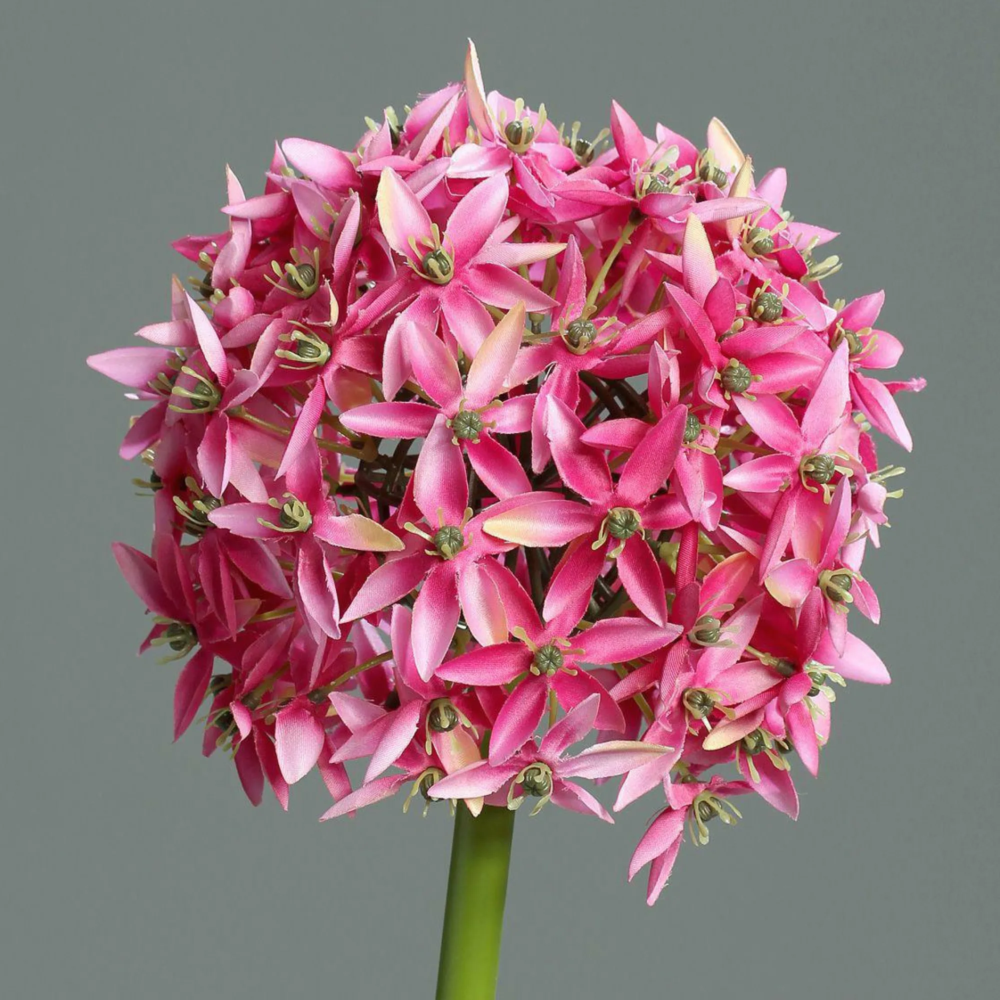 DPI Kunstblume Allium