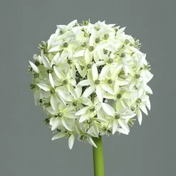 DPI Kunstblume Allium