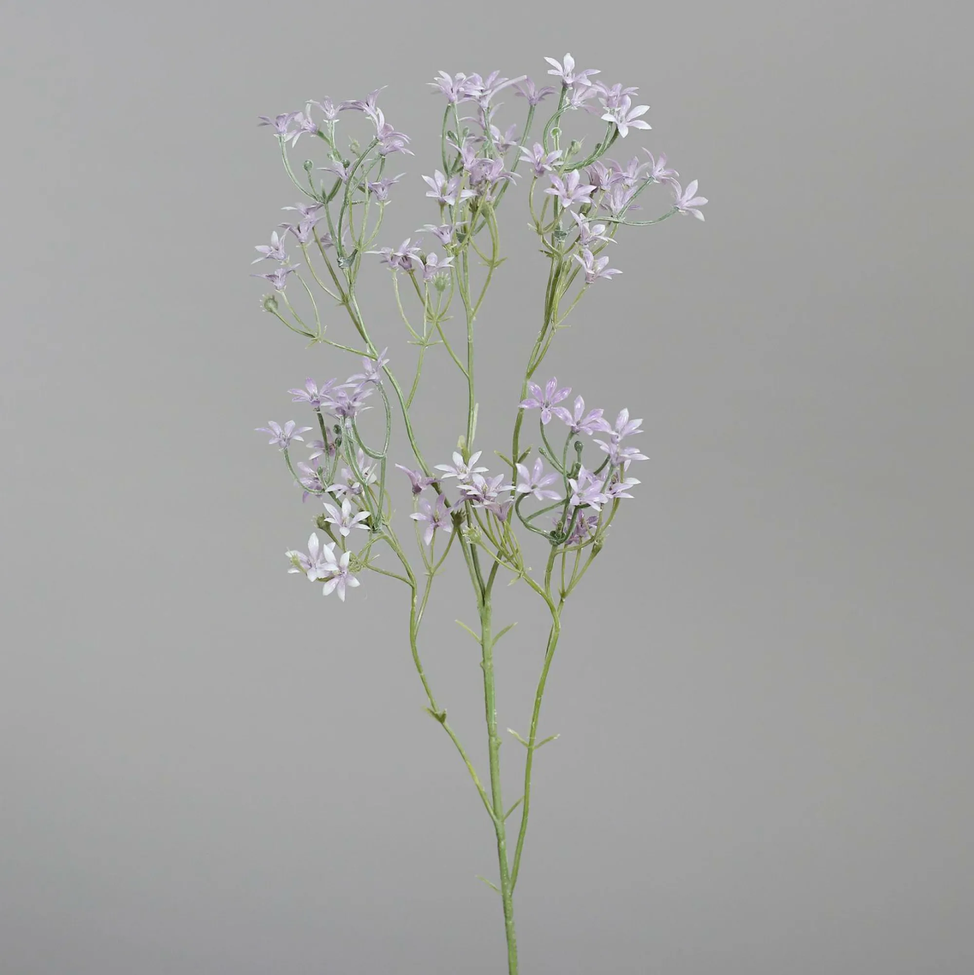 Online DPI Kunstblume BLÜTENZWEIG