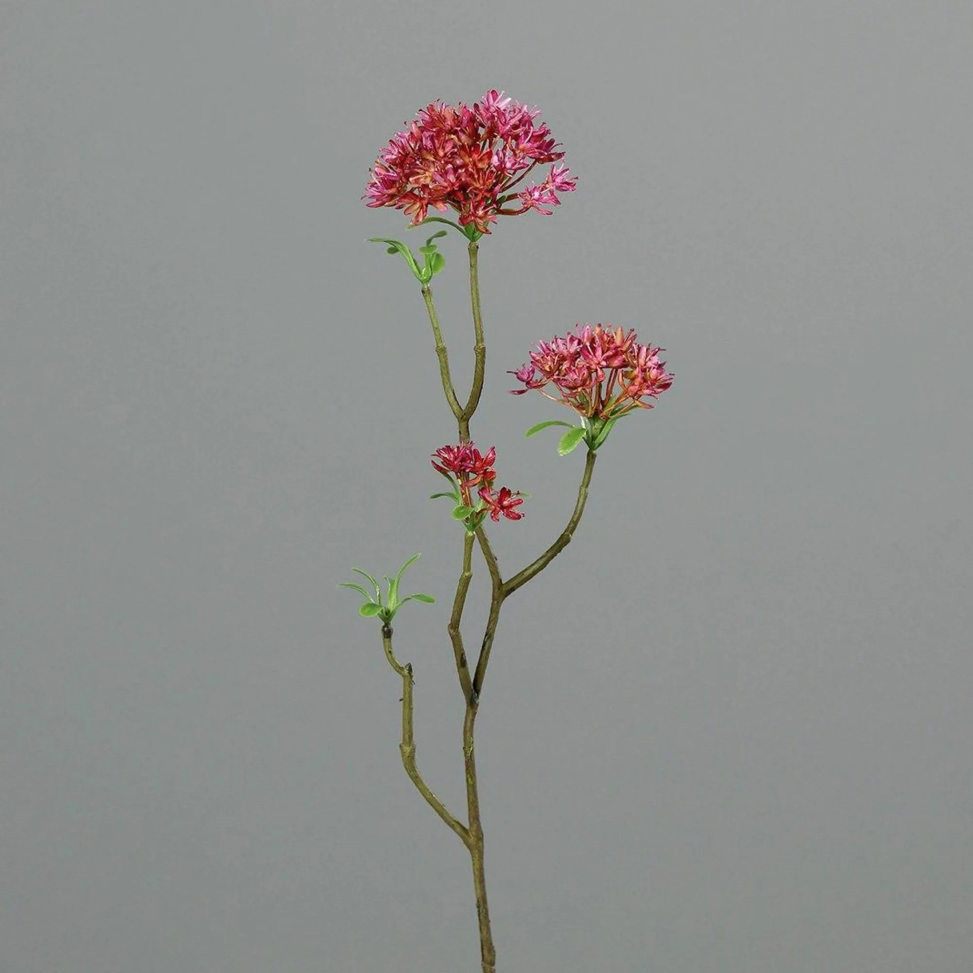 DPI Kunstblume BOWARDIENZWEIG