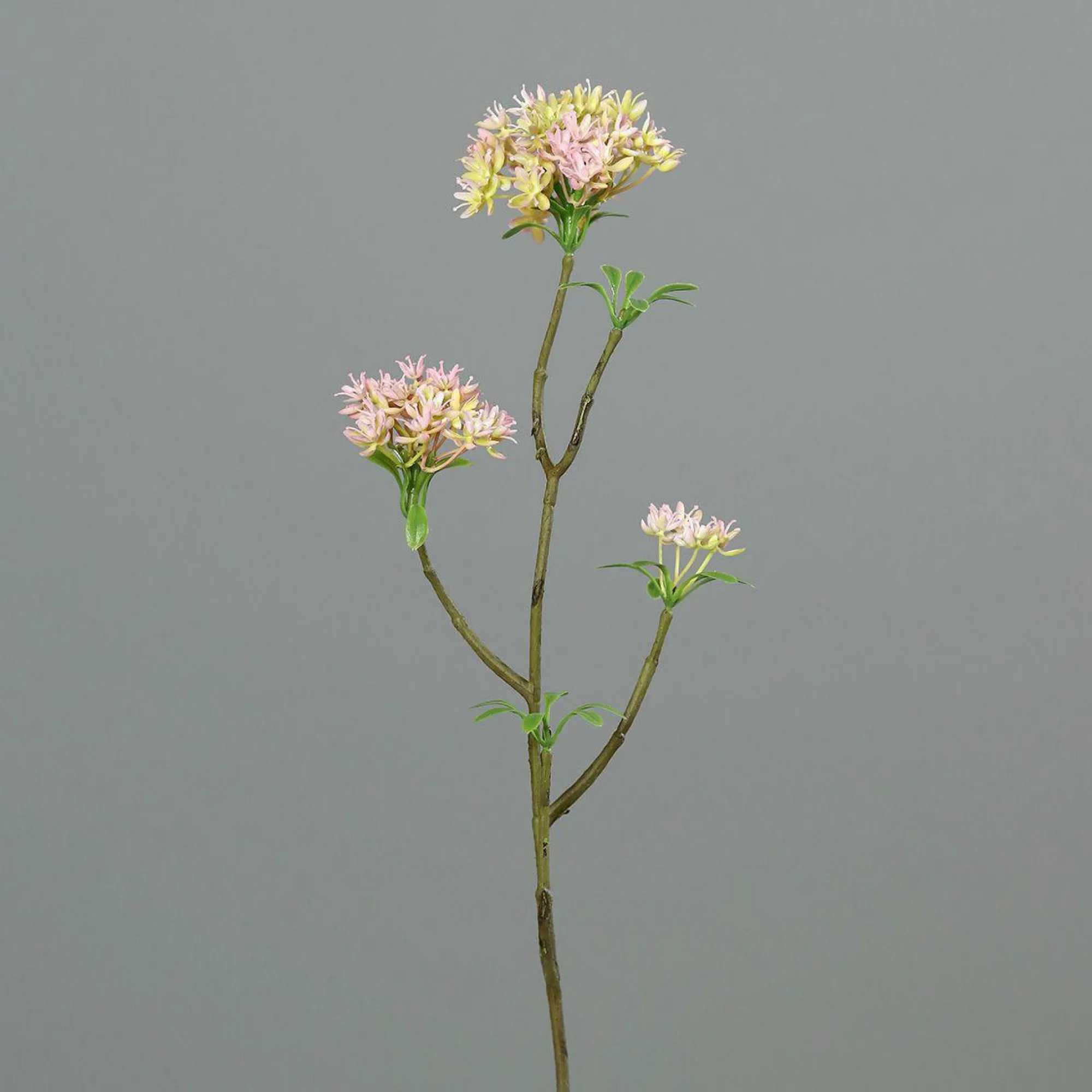 DPI Kunstblume BOWARDIENZWEIG
