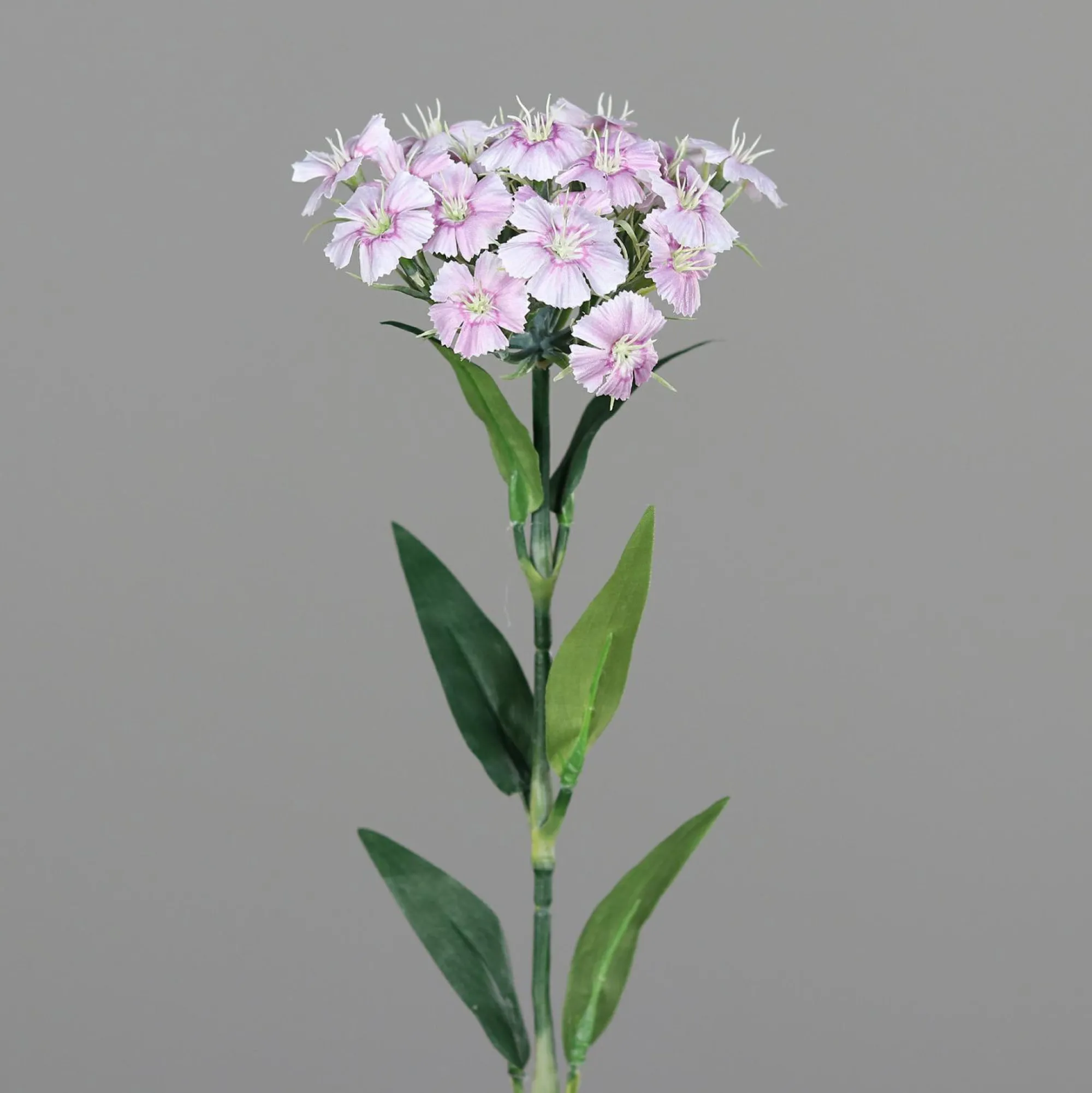 DPI Kunstblume DIANTHUS
