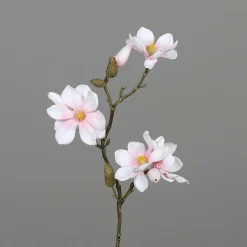 Online DPI Kunstblume MAGNOLIE