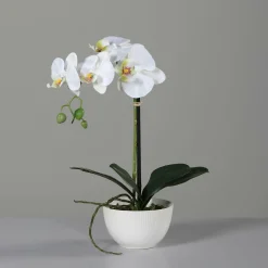 DPI Kunstblume Orchidee