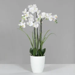 Sale DPI Kunstblume Orchidee