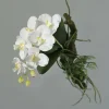 Best DPI Kunstblume ORCHIDEE