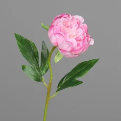 Best DPI Kunstblume PÄONIE