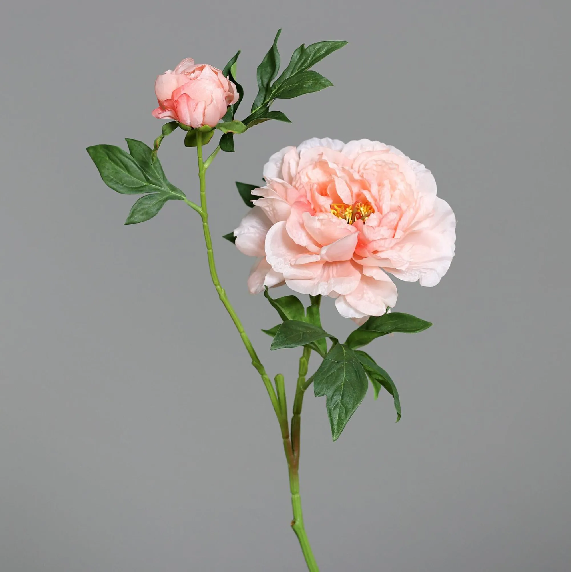 DPI Kunstblume PÄONIE