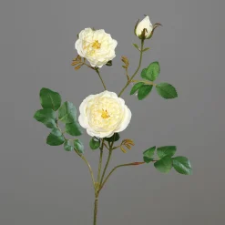 DPI Kunstblume ROSENZWEIG