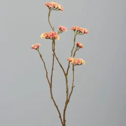 Online DPI Kunstblume STATICE