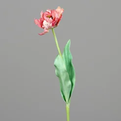 DPI Kunstblume Tulpe