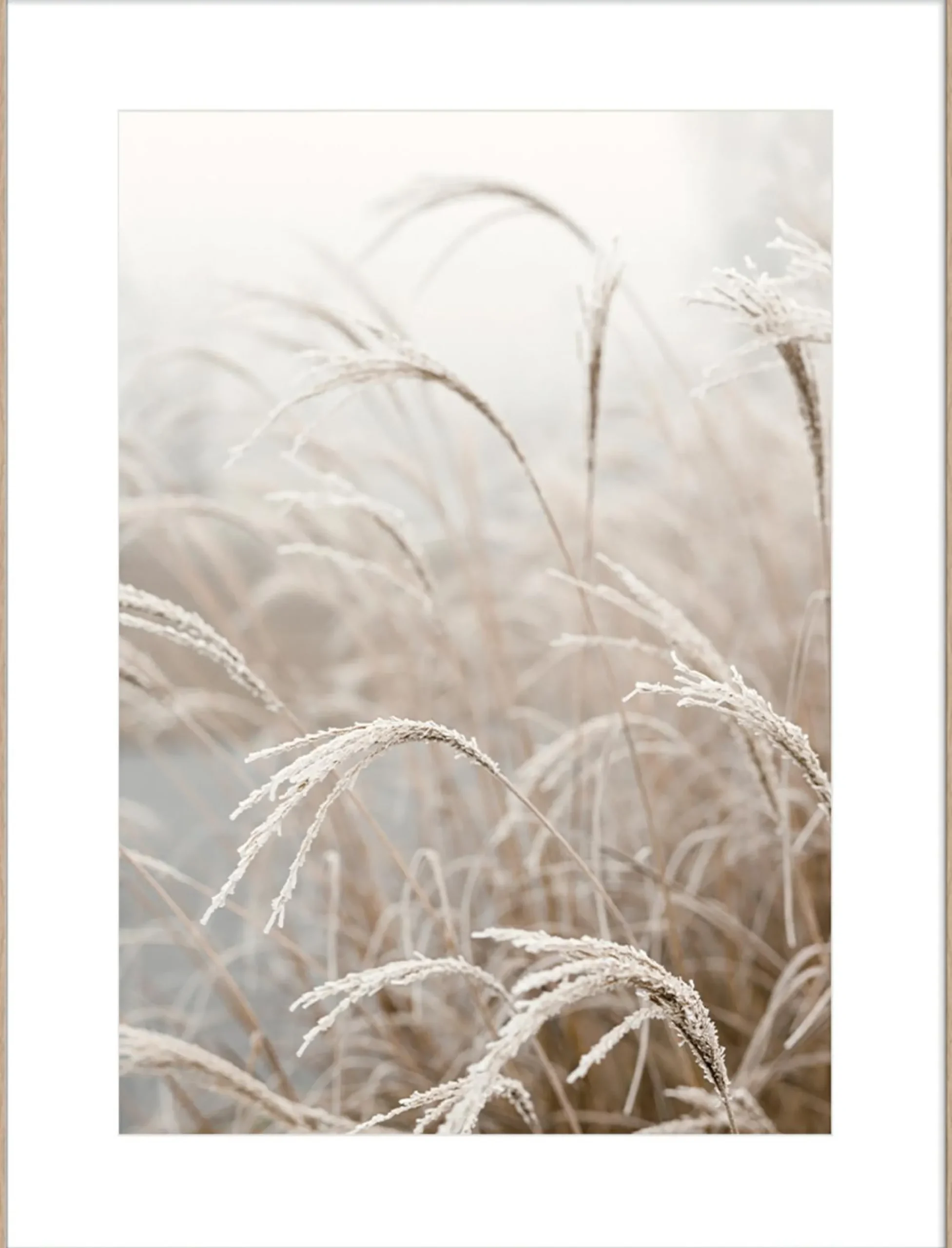 Sonstige Kunstdruck LISTEN...