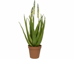 Clearance Sonstige Kunstpflanze AGAVE