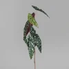 DPI Kunstpflanze Blatt Begonie