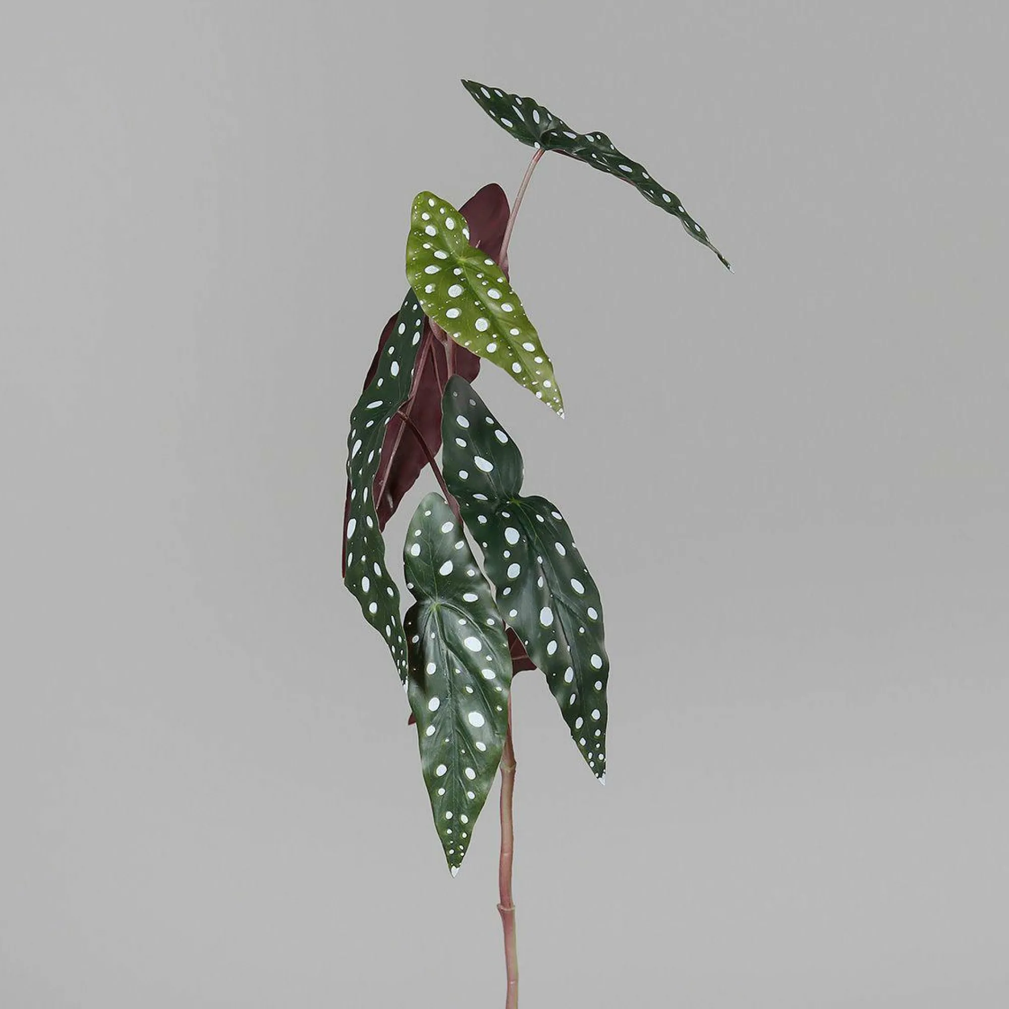 DPI Kunstpflanze Blatt Begonie