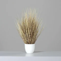 DPI Kunstpflanze CALIFORNIA GRAS