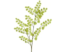 Clearance Sonstige Kunstpflanze GINGKO