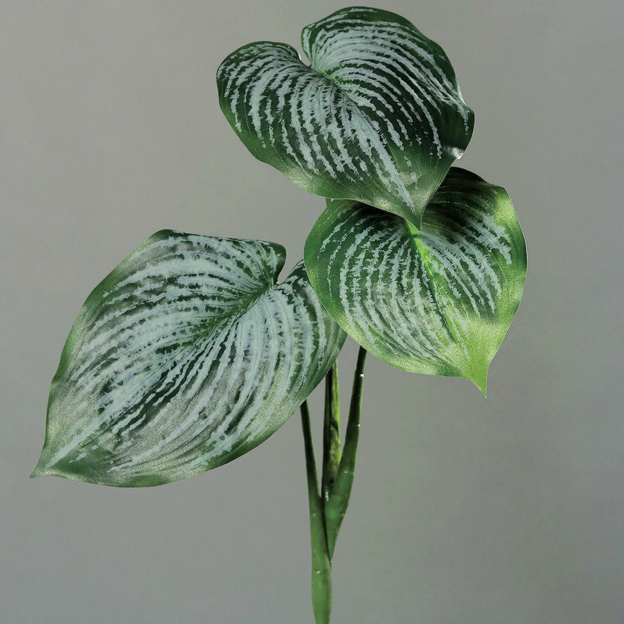 DPI Kunstpflanze Hostablattzweig