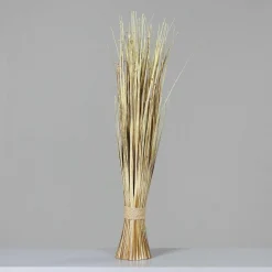 Sale DPI Kunstpflanze ISOLEPSIS