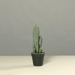 DPI Kunstpflanze Kaktus