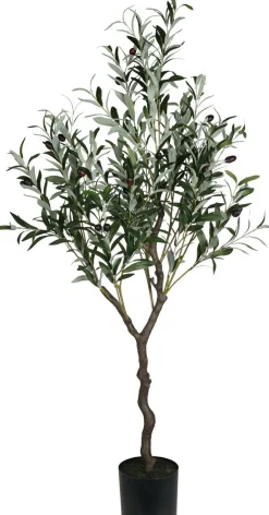 Sonstige Kunstpflanze Olivenbaum