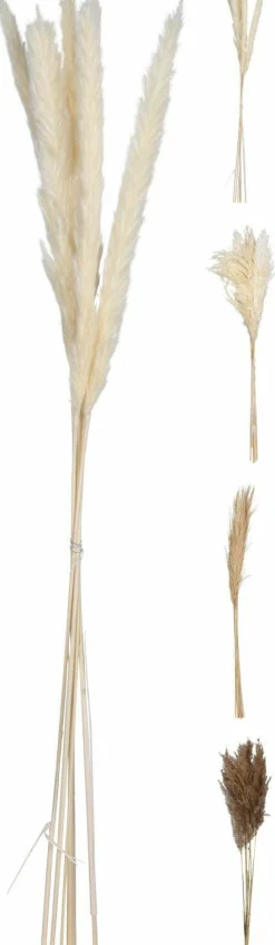 Discount Sonstige Kunstpflanze Pampasgras