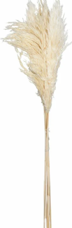 Discount Sonstige Kunstpflanze Pampasgras