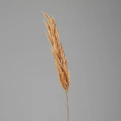 DPI Kunstpflanze PAMPASWEDEL