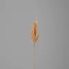 DPI Kunstpflanze PAMPASWEDEL