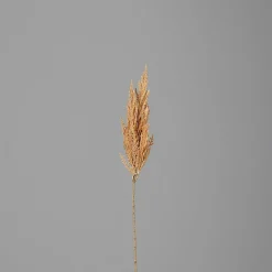 DPI Kunstpflanze PAMPASWEDEL