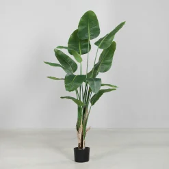 DPI Kunstpflanze Strelitzie