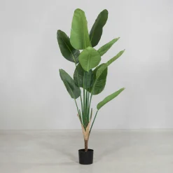 Best DPI Kunstpflanze Strelitzie