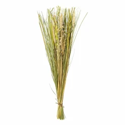 Sale GASPER Kunstpflanze TROCKENBLUME