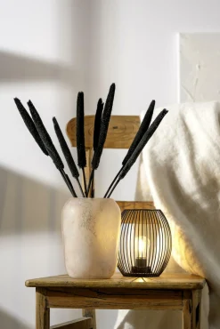 LEONARDO Laterne CASOLARE