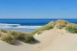 Sonstige Leinwandbild DÜNEN AM MEER I
