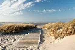 Outlet Sonstige Leinwandbild HOLZWEG ZUM MEER