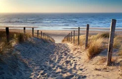 Best Sonstige Leinwandbild SANDWEG ZUM MEER