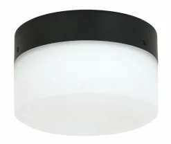 Sonstige Leuchten-Set Deckenventilator